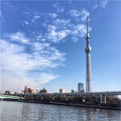 开云APP官方下载