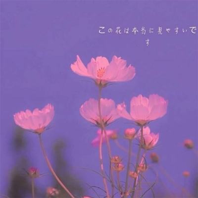 大众彩票入口welcome下载手机版