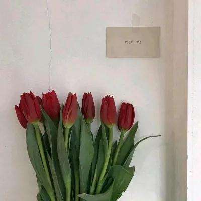 pg娱乐电子游戏官网手机app下载